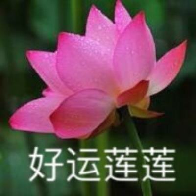 加强区域联动 开拓金融协同发展新路径